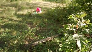 Caught a Stranger Doing Yoga in the Woods and Gave Her My Hard Cock