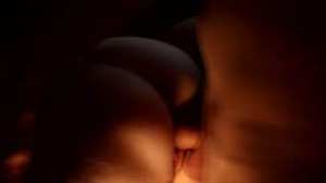 Fucked Step sister in front of window so that everyone see what a slut she is