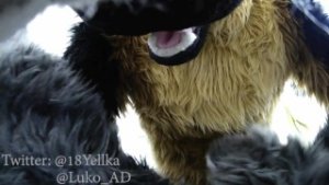 Hot German shepherd fucks cute gray submissive bunny (Murrsuit porn)