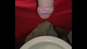 Kaso221 – pissing in toilet