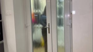 Slutty Real estate Agent DP