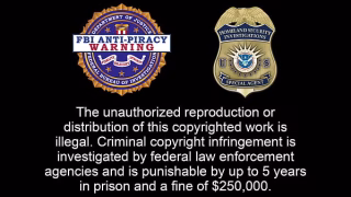 Dr Tampa – Strangers In The Night – Stefania Mafra