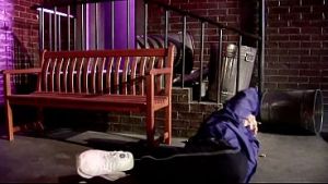 Hot blondes, Anna Lovato and Michelle Thorne, dressed in some provocative fishnet…