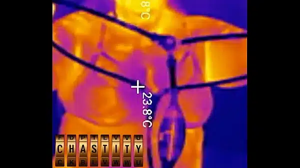 First Time LOCKED in Chastity Belt! Thick BBW Ass Fingered Deep Then Stuffed with 2 HUGE Butt Plugs Thermal POV (4K Portrait)