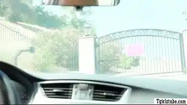 Giving my handsome customer a extra anal service