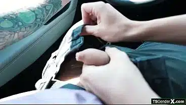 I picked me up a horny trans hitchhiker