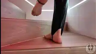 Rebeca Addams Dominatrix Dog Training Submissive Guys