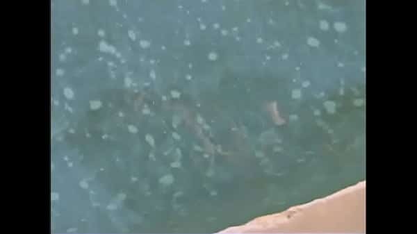 XXX 4: Sex In The Great Outdoors: Luna Lane vs Tony Martino