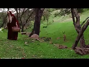 little red rider, XXX parodyfDFM5qD