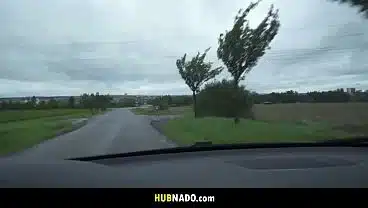 Swedish Beauty Gives a Wild Ride in the Car and Beyond