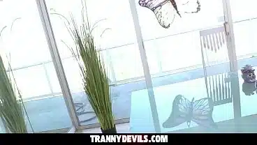 Trans Beauty Bangs GF’s Pussy Doggie-Style